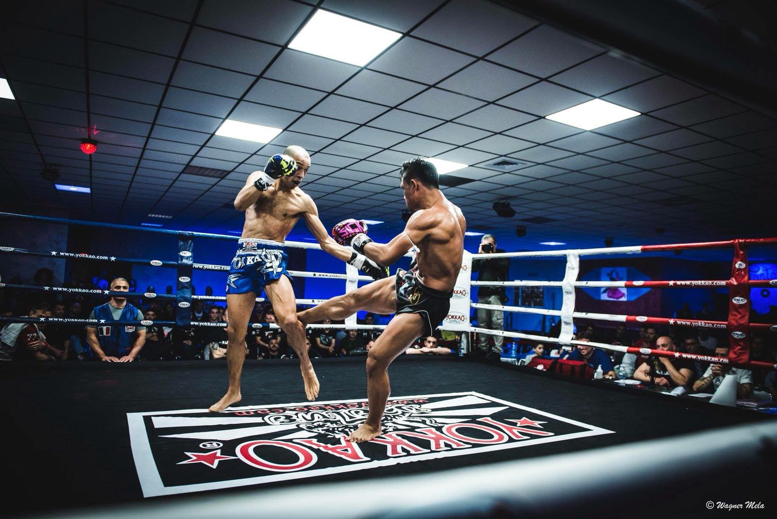 Manachai Takes Winning Streak to Perfect 10!-YOKKAO