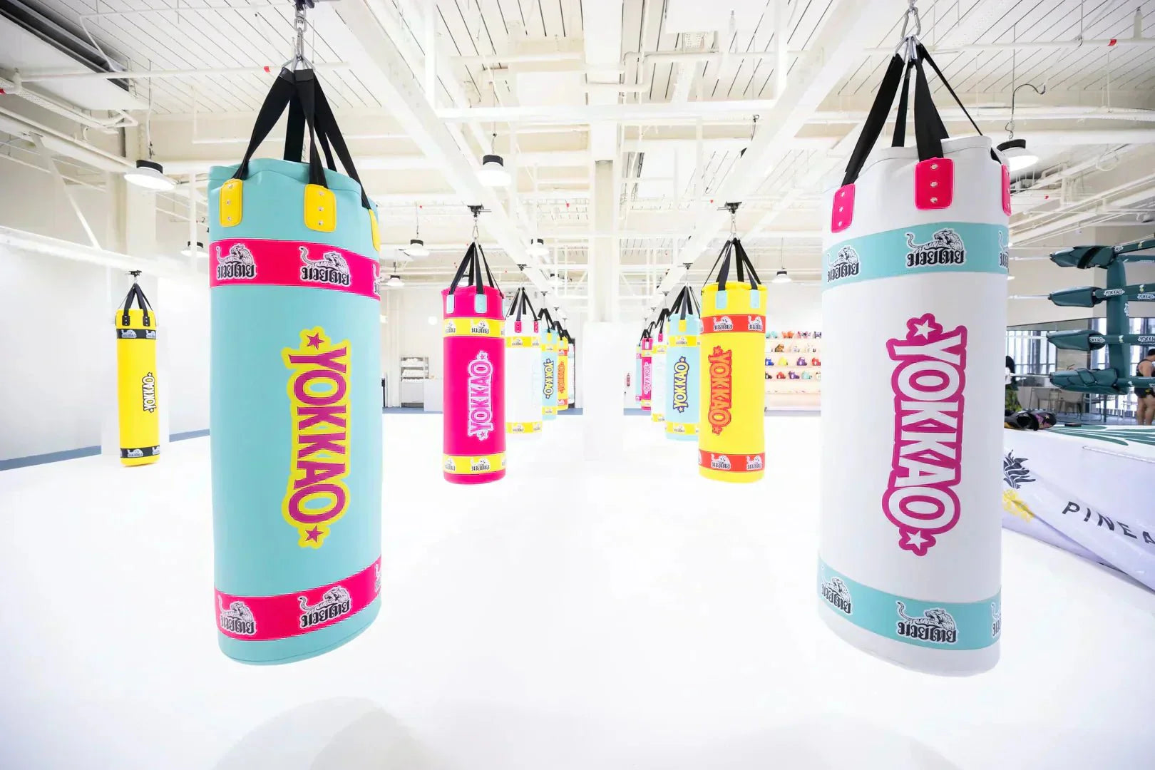 YOKKAO | Pineapple MMA: Setting the New Global Standard for Muay Thai Gyms-YOKKAO
