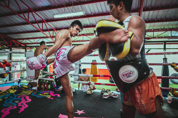 Best muay thai on sale shorts