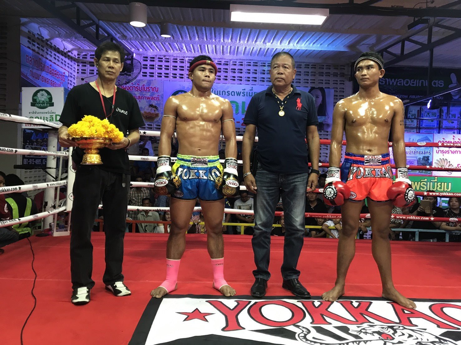 YOKKAO strikes 3 wins in 2 days in Thailand!-YOKKAO
