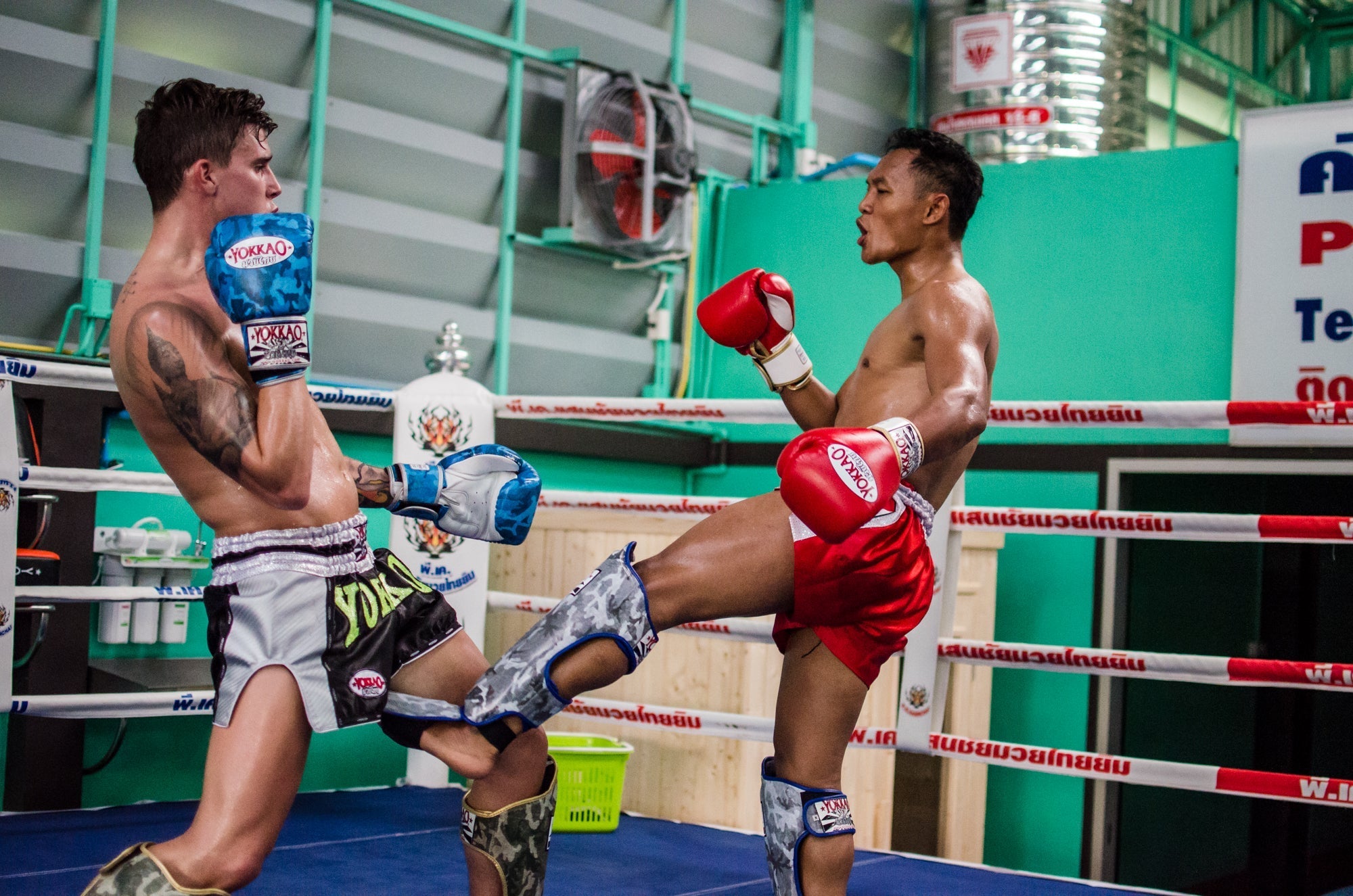 YOKKAO UK Seminars: Saenchai and Pakorn Headed to Hit Up 10 cities in the UK!-YOKKAO