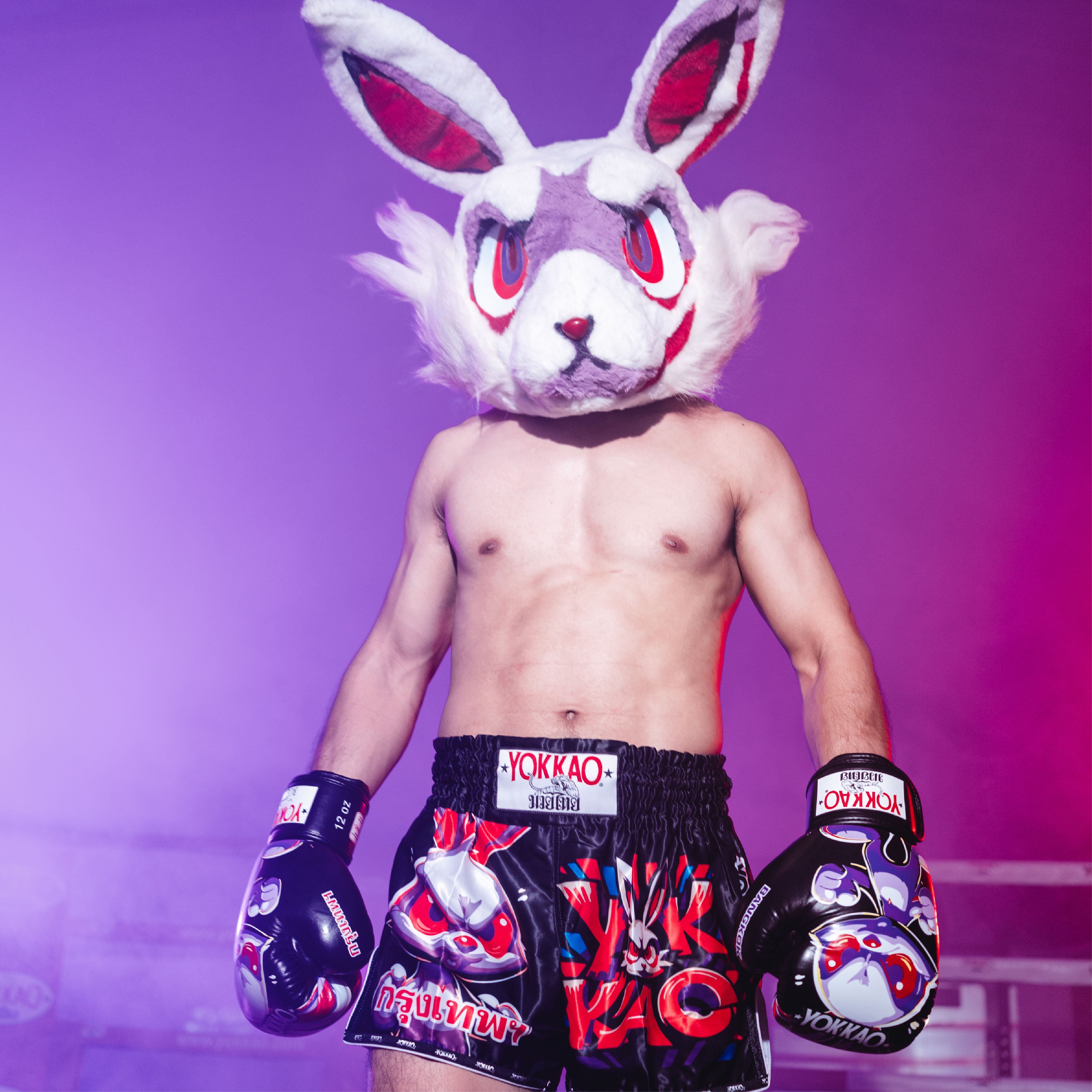 Angry Rabbit Boxing Gloves