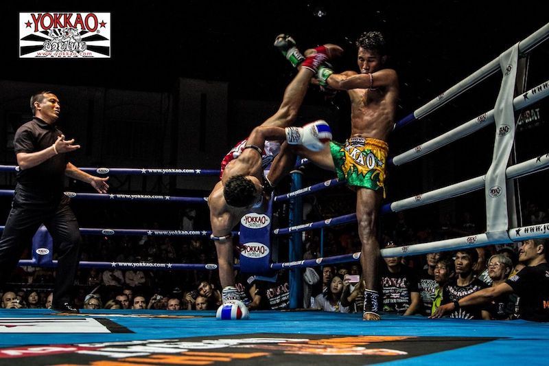 YOKKAO Boxing Gear Shot