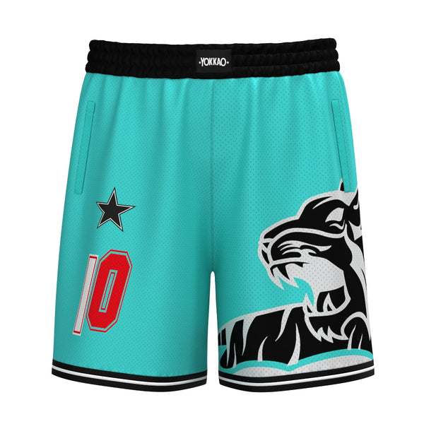 Retro 10 shorts sale